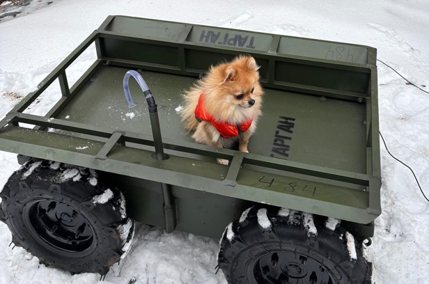 Four Wheeled Friends (Ground Drones)