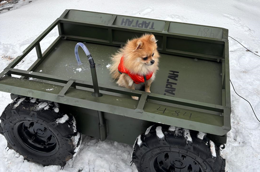 Four Wheeled Friends (Ground Drones)