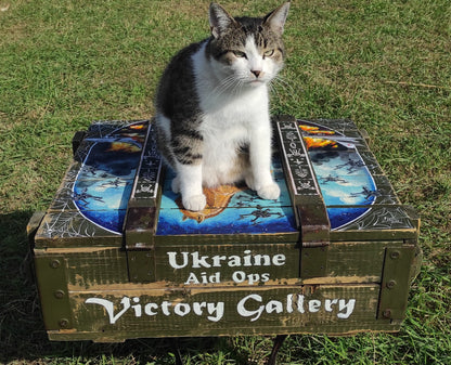 "Operation Spiderweb." painted ammunition box.