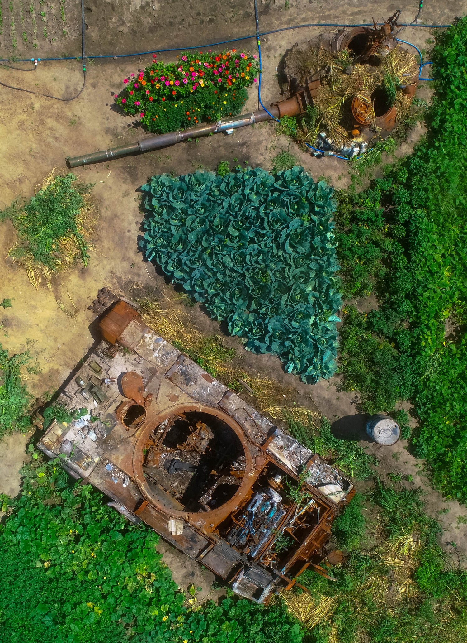 Ukraine Aid Operations - Artem