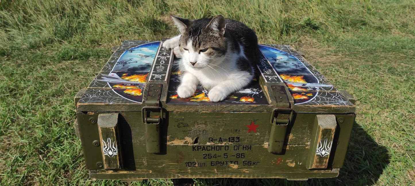 Operation Spiderweb painted ammunition box by Tanya Shacun with cat nearby