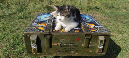 Operation Spiderweb painted ammunition box by Tanya Shacun with cat nearby