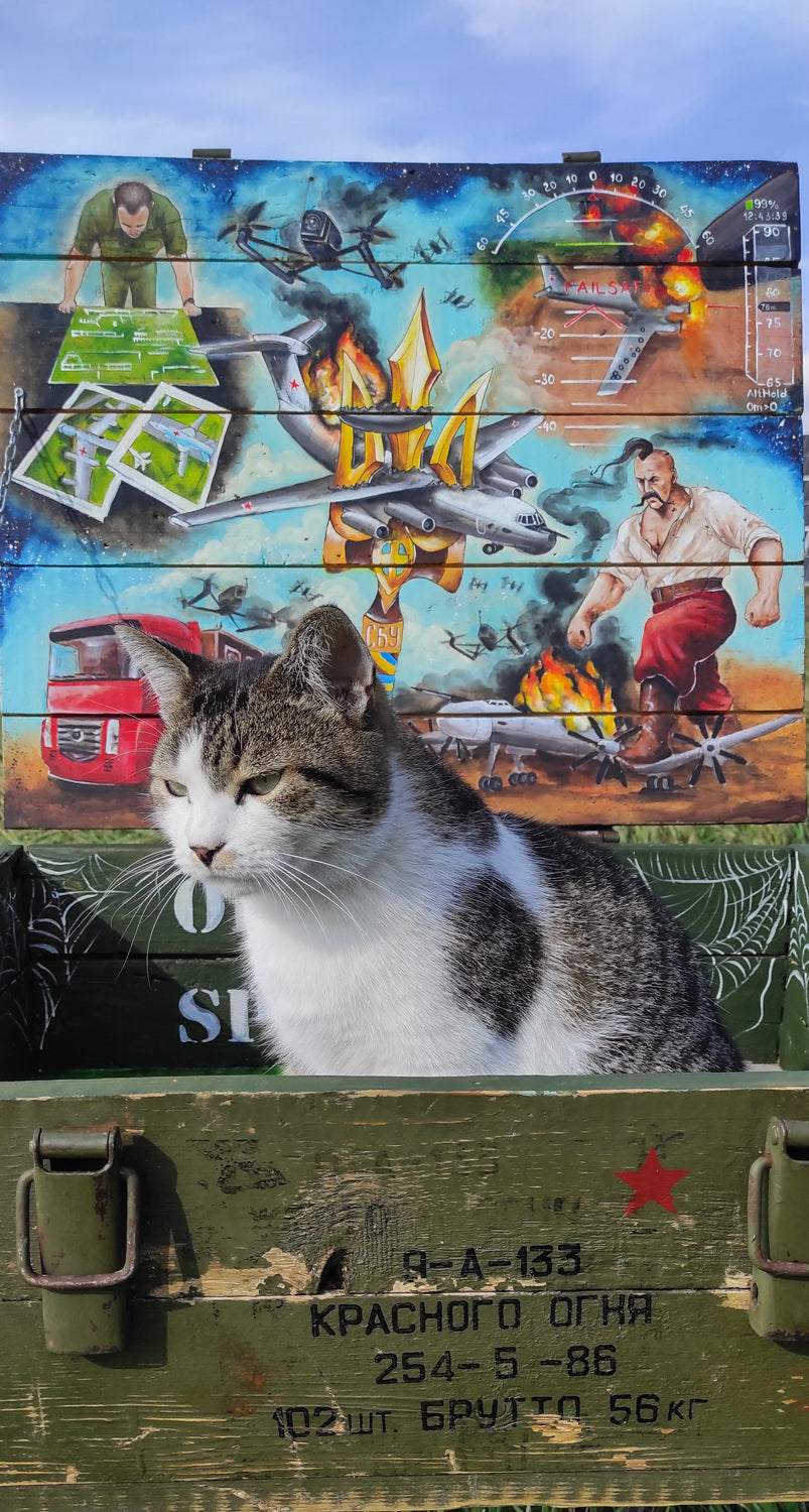 Operation Spiderweb painted ammunition box by Tanya Shacun with a cat nearby