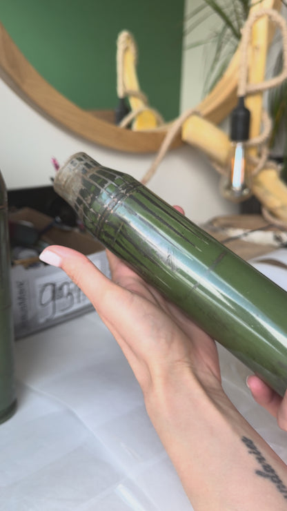USA: Freiheitsstatue auf Gepard Shell gemalt. (1351 AL)