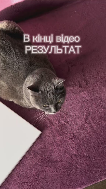 Motanka painted on canvas (40x50 cm). (1095 AL)